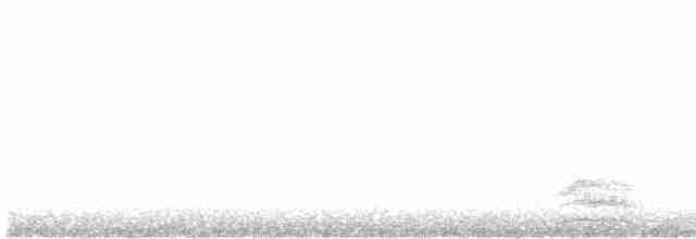 Андский скальный петушок - ML617512900