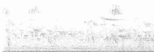 budníček amurský - ML617513760