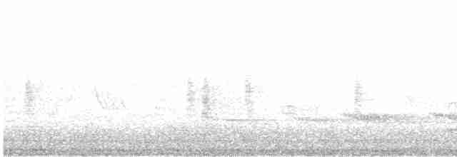 Münzevi Bülbül Ardıcı - ML617513845