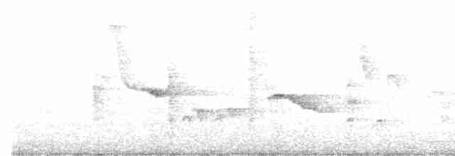 Vireo Ojiblanco - ML617515914