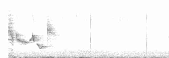 White-eyed Vireo (White-eyed) - ML617516359