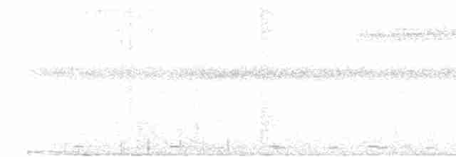 holub žlutoprsý - ML617517176