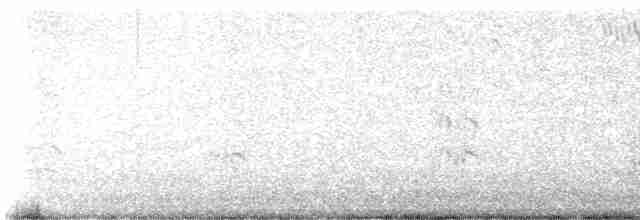 Kara Gagalı Sumru - ML617517347