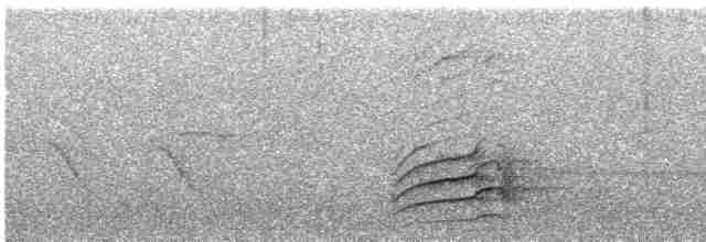 Palamut Ağaçkakanı [formicivorus grubu] - ML617517439