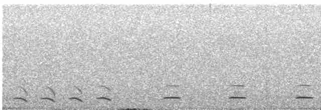 Сичик-горобець гірський (підвид gnoma) - ML617517649