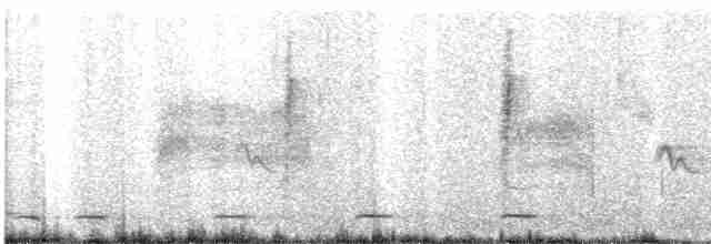 Сичик-горобець гірський (підвид gnoma) - ML617517652