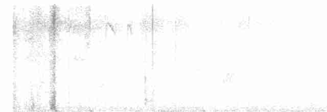 Дятел-смугань сіроголовий - ML617518393