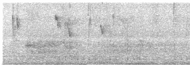 Сейшельская нектарница - ML617518423