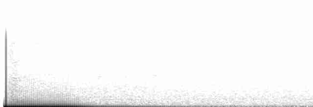 Hermit Thrush - ML617520114