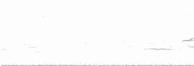 Münzevi Bülbül Ardıcı - ML617521127