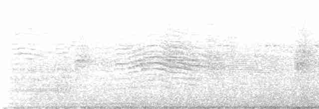 Клинохвостый буревестник - ML617521222