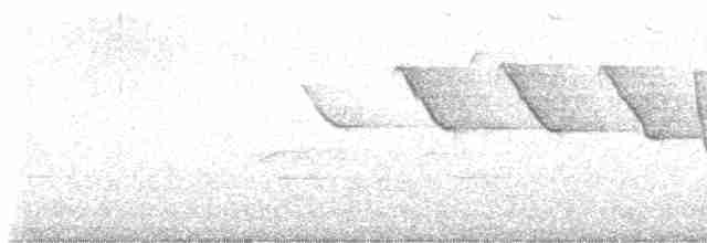 Трясогузковый певун - ML617522194