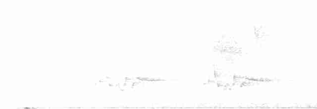 Ak Karınlı Çıtkuşu - ML617522268