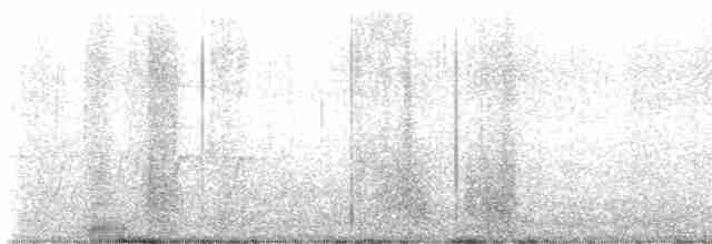 Трясогузковый певун - ML617523136