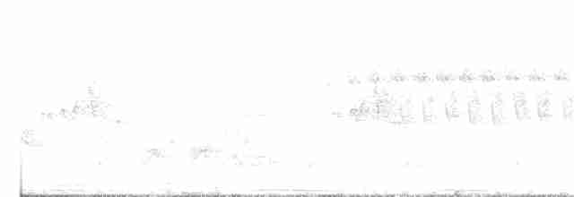 Мангровая древесница - ML61752351