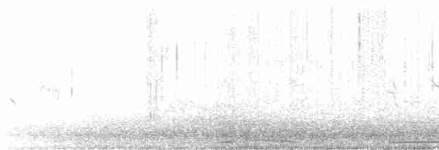 גיבתונית חומת-זנב - ML617523668