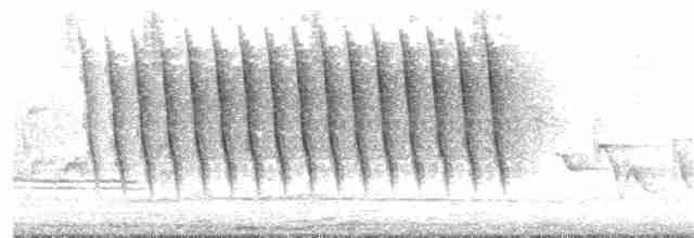 Cırcır Sesli Serçe - ML61752381