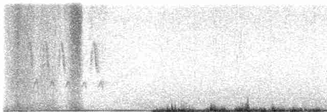Ev Çıtkuşu [aedon grubu] - ML617524448