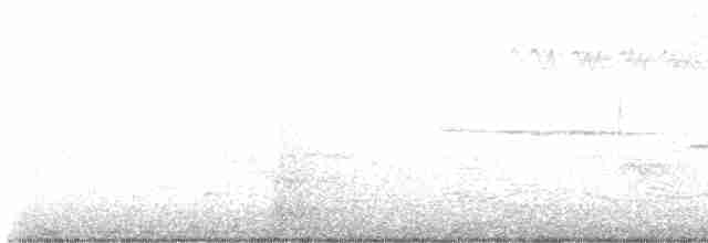 European Starling - ML617524459