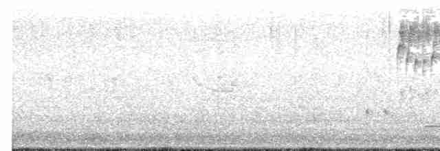 Loggerhead Shrike - ML617524512