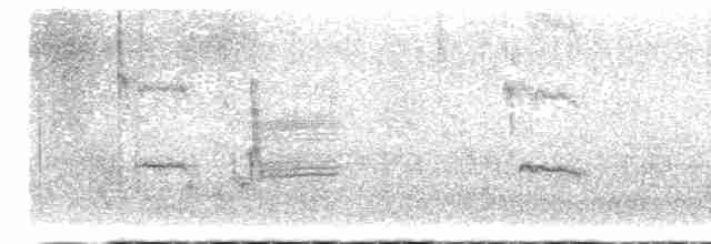 Loggerhead Shrike - ML617524681