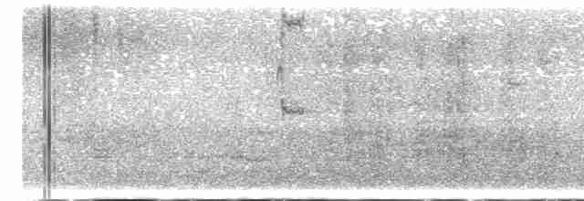 Loggerhead Shrike - ML617524840