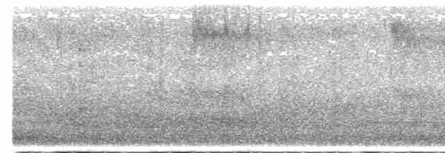Loggerhead Shrike - ML617525168