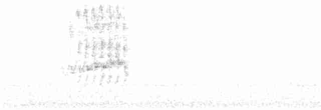Сипуха крапчаста - ML617525368
