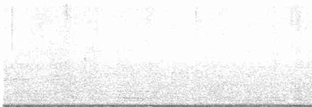 White-eyed Vireo - ML617525763