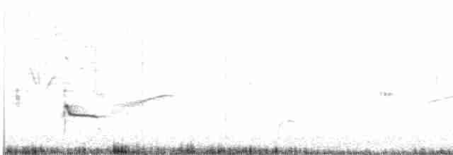 Common Redshank - ML617526189