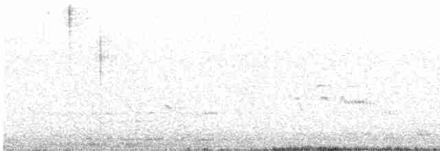 חרטומית ביצות - ML617526206
