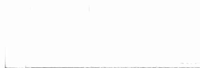Black-throated Gray Warbler - ML617526386