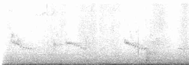 Brown-headed Cowbird - ML617526497