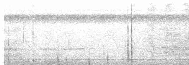 Оринокская мягкохвостка - ML617526673
