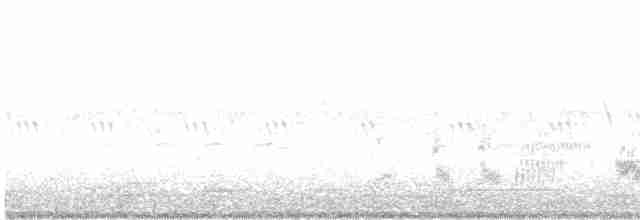 Bewick Çıtkuşu - ML617526802