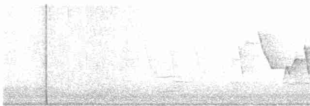 אנפית ירוקה - ML617526871