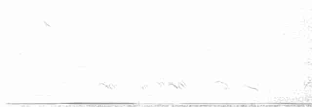 Büyük Çayır Tavuğu - ML617528005