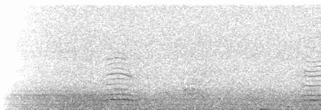 Heringsmöwe (graellsii) - ML617528208