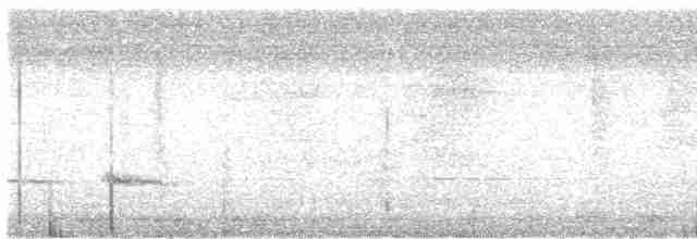 Soluk Göğüslü Ardıç - ML617528829