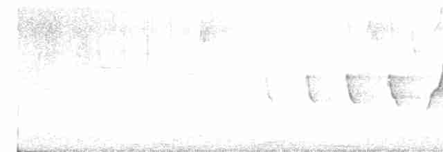 iberiagransanger - ML617528897