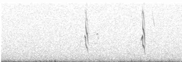 Землекоп сірий - ML617529598
