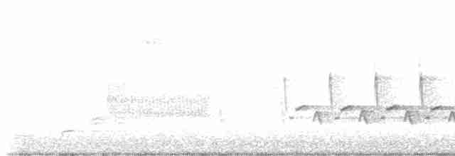 Каролинский крапивник - ML617531297