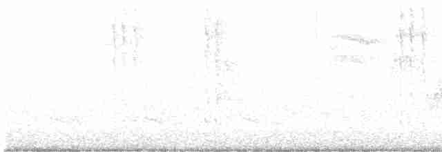 Yakut Boğazlı Kolibri - ML617531737