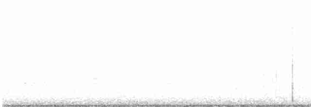 Kara Kuyruklu Bitkuşu - ML617532500