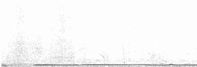 Gallo de las Praderas Grande - ML617532667