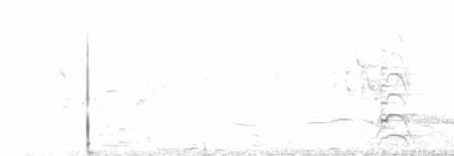 歐亞海鷗 - ML617533111