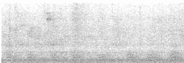 Gri Kuyruklu Trogon - ML617533973