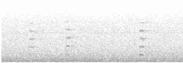 Gray-headed Lapwing - ML617533979