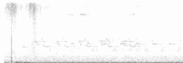 Поплітник каролінський - ML617534383