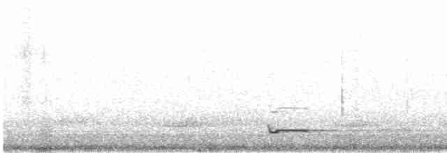 Сплюшка євразійська - ML617534635